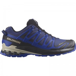 SALOMON XA PRO 3D V9 GTX M