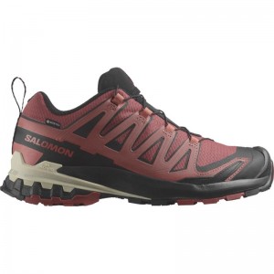 SALOMON XA PRO 3D V9 GTX W