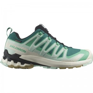 SALOMON XA PRO 3D V9 GTX W